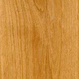 151 | Truckee Cabinet Door